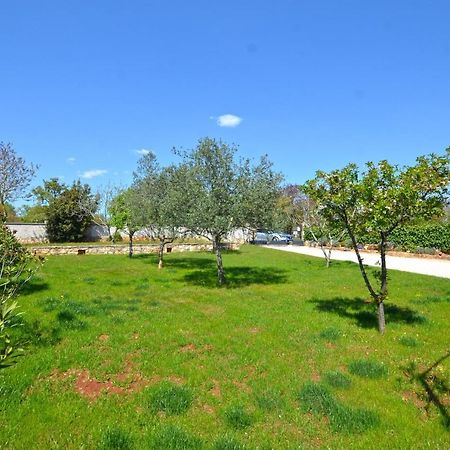 Bavica Apartments Rovinj Dış mekan fotoğraf